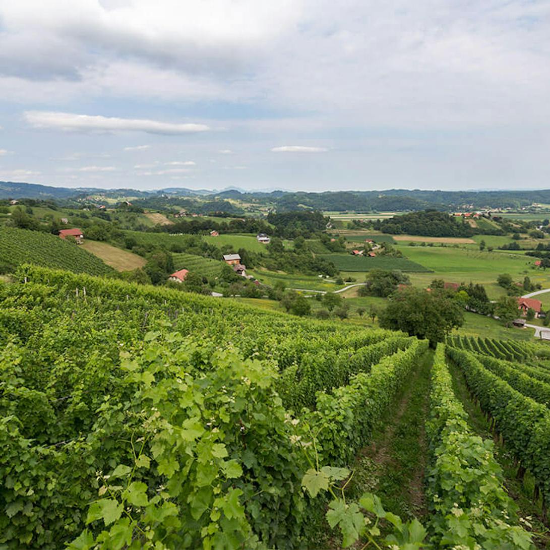 Sub-region Šmarje-Virštanj